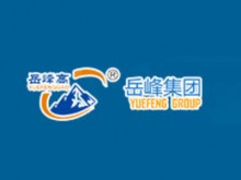 岳峰集团